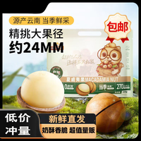 三只松鼠 热销大颗粒坚果零食每日坚果健康干果