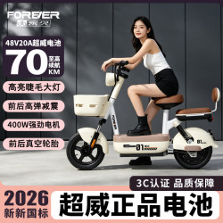 永久 2026新新国标电动车48V20A超威电池