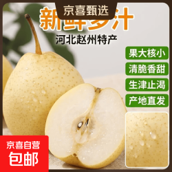 京喜加 河北鸭梨赵州特产鸭梨水晶梨润肺远达新23 鸭梨带箱4斤中果