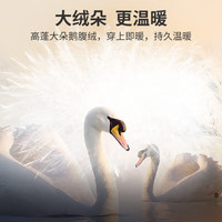 金利来 可机洗抑菌鹅绒 灰色 L 男士羽绒服