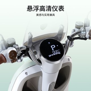 台铃 雅典 智能长续航 电动摩托车