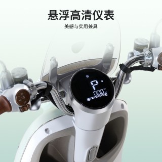 台铃 雅典 智能长续航 电动摩托车