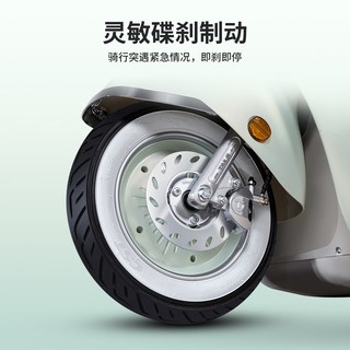 台铃 雅典 智能长续航 电动摩托车