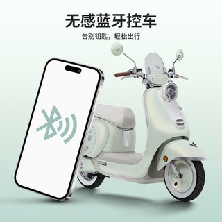 台铃 雅典 智能长续航 电动摩托车