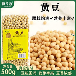 源合态 当季新鲜山西特产农家自种老品种黄豆打豆浆专用大粒黄豆生黄豆芽 黄豆500g*2