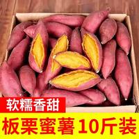 树奢 新鲜板栗红薯10斤西瓜红沙地蜜薯山芋现挖农家地瓜黄心番薯小香薯 红薯  带箱9-10斤 甄选