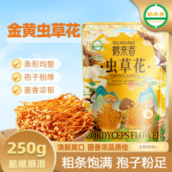 鹤来香 虫草花250克北虫草食用菌菇干货蛹虫草孢头