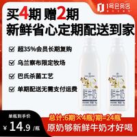 1号会员店 4.0g乳蛋白鲜牛奶1kg*2瓶