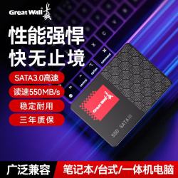 长城 SSD固态硬盘 SATA3.0接口 台式机笔记本电脑通用硬盘 S400系列 256G