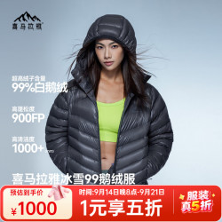 喜马拉雅 冰雪99连帽鹅绒服900蓬99绒雪山攀登专业户外抗寒防风羽绒服 钛灰 900蓬99鹅绒 XS 充绒量88.5g