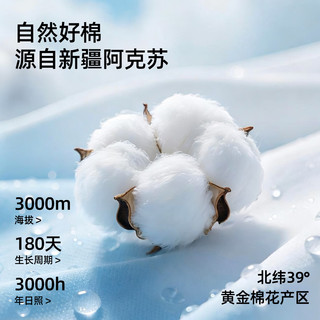 有棵树 10A抑菌纯棉男士内裤 浅灰+深灰+天蓝 3条装 2XL