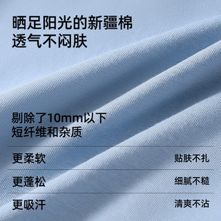 有棵树 10A抑菌纯棉男士内裤 浅灰+深灰+天蓝 3条装 2XL