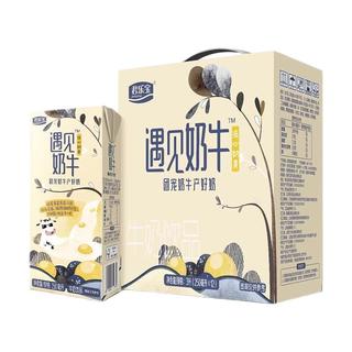 JUNLEBAO 君乐宝 遇见奶牛流心奶黄 牛奶饮品 250ml*12盒
