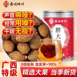 南同神州 京仁堂胖大海特级大果正宗搭罗汉果药材长期用嗓咽喉干涩泡水茶饮