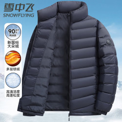 雪中飞 90绒轻薄羽绒服男女同款立领时尚休闲秋冬保暖外套男 藏青三层锁绒 4XL