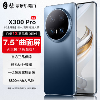 OP旗舰手机X300 Pro 5G全网通 1TB大内存新机120Hz高刷分辨率8800电池双l 冰晶蓝 16GB+512GB 官方标配