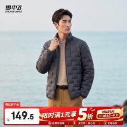 雪中飞 轻薄款短款男士羽绒服 90%白鸭绒 极地灰 2XL