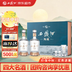 西凤酒 10年52度陶藏礼盒500ml*2 凤香型白酒 宴请自饮 中秋节日送礼