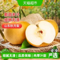88VIP：农鲜淘 正宗山东秋月梨新鲜香甜多汁应季时令水果蜂糖蜜梨鲜梨