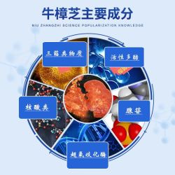 WIEANG牛樟芝子实体高三萜精华浓缩胶囊台湾牛樟菇椴木栽培牛樟芝子实体 WIEANG牛樟芝胶囊 60粒*1瓶