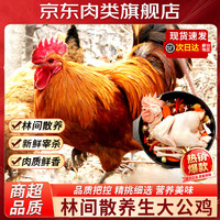 果鲜岛 公鸡 山东大公鸡 农家散养新鲜冷冻土鸡 生鲜鸡肉 净重6斤左右 2只(单只4斤)大公鸡