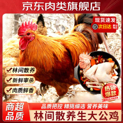 果鲜岛 公鸡 山东大公鸡 农家散养新鲜冷冻土鸡 生鲜鸡肉 净重6斤左右 2只（单只4斤）大公鸡