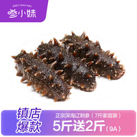参小妹 大连辽刺参鲜食即食海参7斤9A28-42头节日礼物源头直发