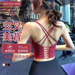 亮浸浸 美背运动内衣女跑步聚拢定型健身文胸训练美背瑜伽背心bra 复古玫瑰 XL
