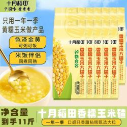 十月稻田 玉米碴子大碴子500g