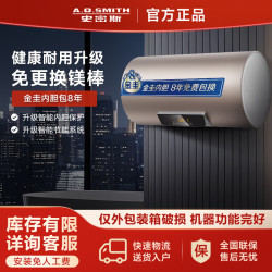 A.O.SMITH 金圭内胆电热水器ED3专利免更换镁棒60升80升速热节能耐用 80L