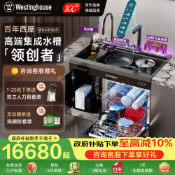 西屋电气 西屋集成水槽洗碗机超声波果蔬清洗家用双层上下分层洗嵌入式碗柜14套洗碗机一体机 JCX-S9L PL