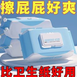 颐沛凌 家用特价湿厕巾湿厕纸擦屁股厕所纸巾厕纸湿巾