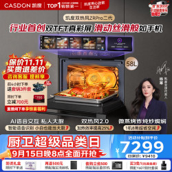 凯度 AI语音 微蒸烤一体机嵌入式58L微蒸烤炸炖炒焗焖8合1 双TFT真彩大屏ZRP