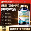 VICARING 奶蓟草护肝片水飞蓟片护肝养肝肝净片肚子大脂肪清解1瓶装