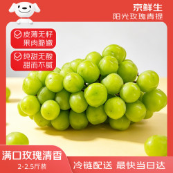京鲜生 阳光玫瑰葡萄 1kg