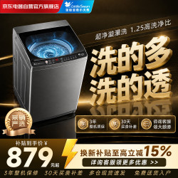 小天鹅 波轮洗衣机全自动家用大容量宿舍租房神器 10KG 直驱变频 高洗净比  TB100V26DT