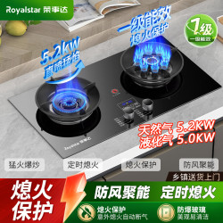 荣事达 燃气灶双灶猛火不锈钢炉灶全铜钢化玻璃定时换新补贴 鸳鸯灶纯铜九腔+双边定时+钢化玻璃