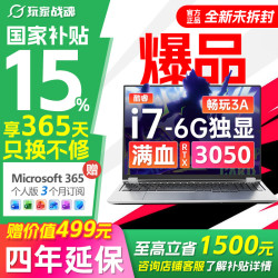 玩家战魂 魂圣X16 Y735 RTX3050电竞满血版独显 游戏笔记本电脑  1920*1200 i7-9750H RTX3050 512GB 60Hz 16GB