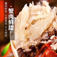 乾蟹汇 六月黄大闸蟹 2.8-3.1两 8只装