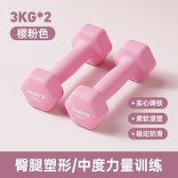 华亚 实心铁哑铃 10kg一对 力量训练器材
