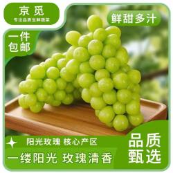 京觅 陕西阳光玫瑰晴王葡萄 净重3斤