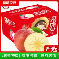 阿克苏苹果 新疆阿克苏冰糖心苹果 10斤 单果150g+ 净重8.5斤