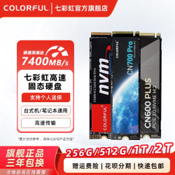 七彩虹 CN600 电竞款NVMe M.2 固态硬盘（PCI-E3.0）
