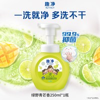 移动端：狮王 抑菌 儿童洗手液  绿野青芒 250ml