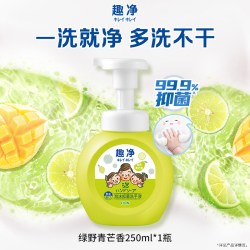 狮王 抑菌 儿童洗手液  绿野青芒 250ml