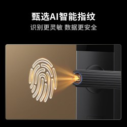 龙霆 T3 指纹识别 电子锁