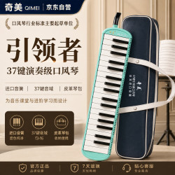 奇美 37键引领者课堂推荐口风琴（绿色、皮革包、配教材、学校专用）