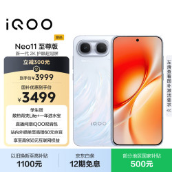 vivo iQOO Neo11至尊版 手机 12GB+512GB 乘风