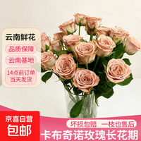 玫瑰花束鲜花云南基地直发批发中秋节送人礼物京东冷链1 卡布奇诺玫瑰18+2枝防损耗