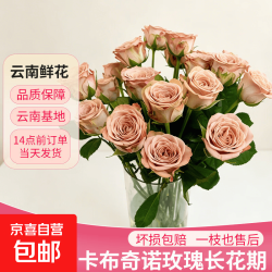 玫瑰花束鲜花云南基地直发批发中秋节送人礼物京东冷链1 卡布奇诺玫瑰18+2枝防损耗